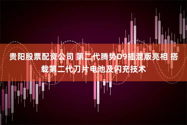 贵阳股票配资公司 第二代腾势D9插混版亮相 搭载第二代刀片电池及闪充技术